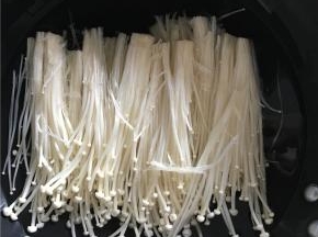 金针菇洗净放入锅中冷水煮