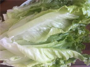 将生菜洗净撕开