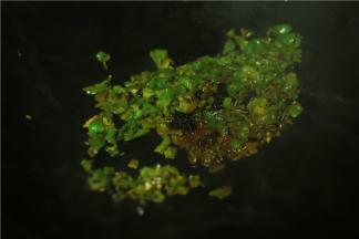 蛋花捞起，青椒下锅加入老干妈爆炒