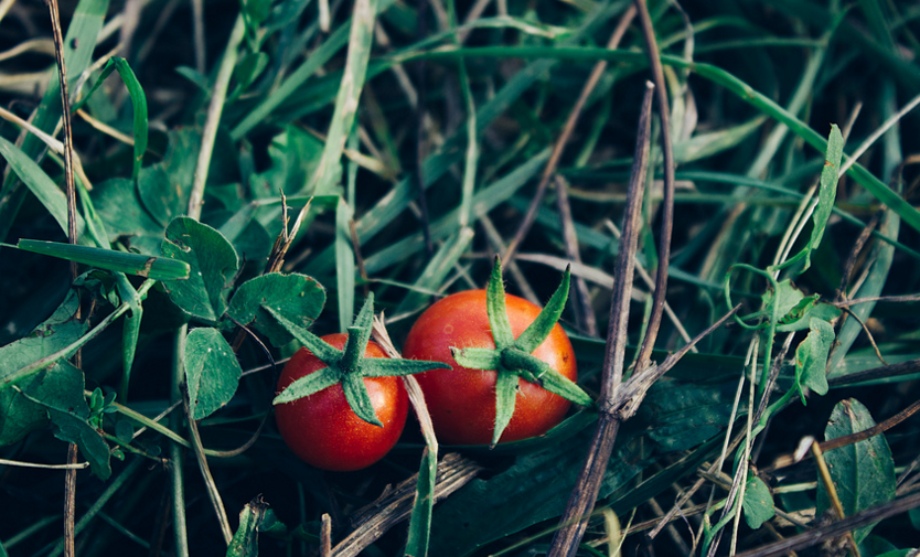 看见未婚妻素颜，男子要离婚？吃这几种食物，美丽由内而外！