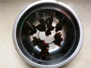 将黑木耳提前用水泡发待用