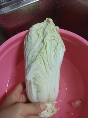 去掉白菜外面的老叶子，留白菜心