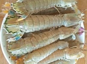 清洗皮皮虾一定小心扎到手，最好带着手套清洗。