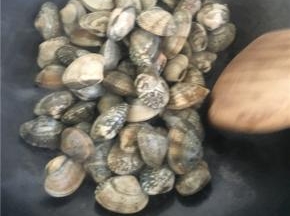 把表面洗干净的花蛤直接倒入热锅中干炒
