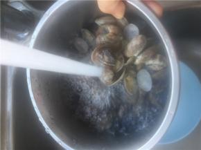 用流水冲洗张口的花蛤，洗干净后沥干水分备用