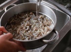 河虾洗干净，加入姜丝，葱切好备用