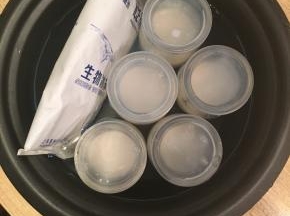 将布丁杯立刻放入冷水中，移至冰箱冷藏室冷藏
