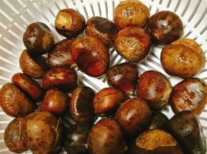 所需主食材如下。