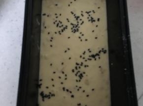 面糊倒入模具，可以根据个人喜好撒一点黑芝麻或葡萄干