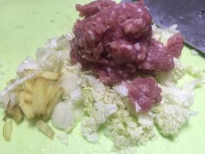 取五花肉，切成小丁，加入葱姜