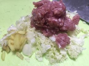 取五花肉，切成小丁，加入葱姜