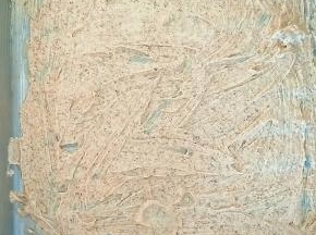 在模具内抹一层黄油，并将搅拌好的黄油红糖糊均匀的抹在模具底部。
