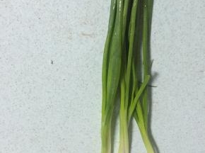 准备小葱，洗干净，切段
