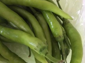 将杭椒切成薄片，拌上少许盐，盐可以配合辣椒的辣味。