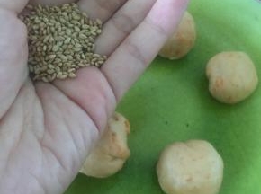 拿出熟芝麻，裹在面团上