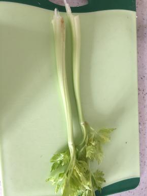 将芹菜切成薄片，拌上少许盐，如喜欢甜食，也可换成糖