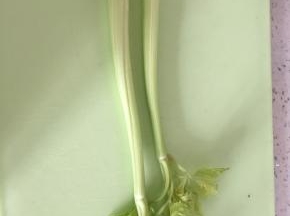 将芹菜切成薄片，拌上少许盐，如喜欢甜食，也可换成糖
