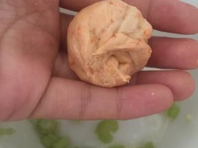 重新包住，将面团在手心搓圆。