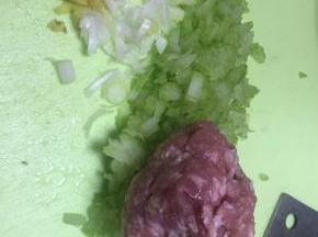 五花肉，切成小丁，加入葱姜