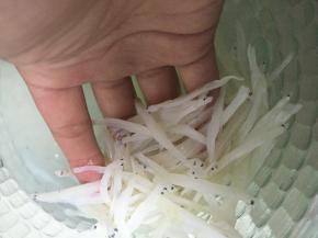 准备好银鱼干，泡水1小时