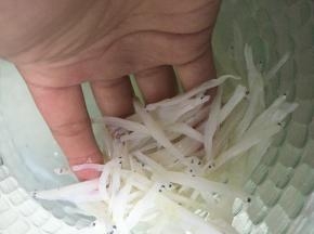 准备好银鱼干，泡水1小时