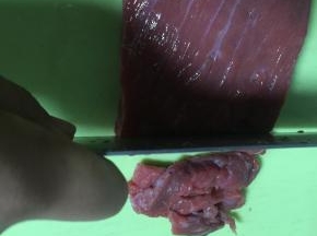 将牛肉洗干净，切丁