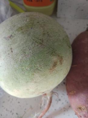 萝卜一个去皮洗净