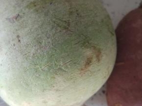 萝卜一个去皮洗净