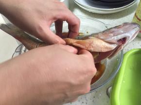 鲈鱼剖开将内脏掏出，鱼身表面用刀划小口，洗干净后用料酒、鲜酱油和盐腌制半小时，在鱼腹中放入大姜片，小口里放入小姜片