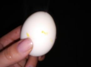 煮熟的鸡蛋去壳，用刀子在鸡蛋的表面扎几个小口