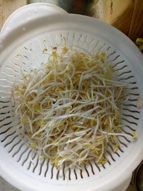 豆芽洗净，控干水分