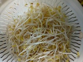 豆芽洗净，控干水分