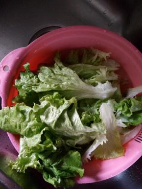 生菜洗干净，控干水分备用