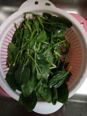 菠菜摘洗干净，控干水分