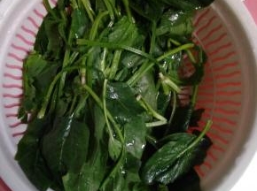 菠菜摘洗干净，控干水分
