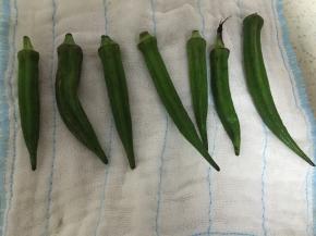 用干净的纱布或者厨房用纸擦干表面的水分