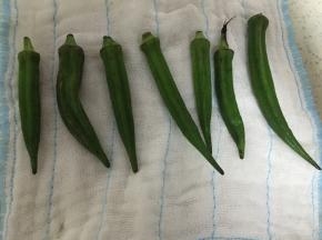 用干净的纱布或者厨房用纸擦干表面的水分