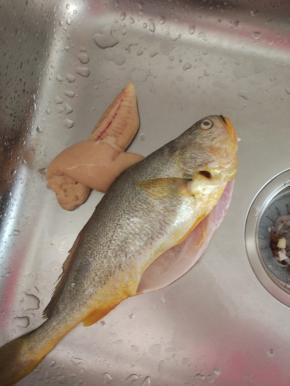 黄花鱼用清水冲洗干净