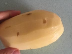 准备好土豆一个，去皮