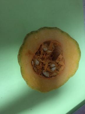 将南瓜洗干净，去皮去瓤