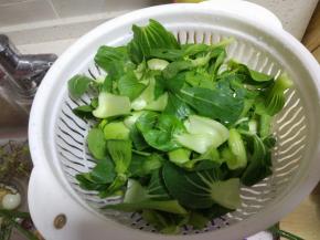 油菜摘洗干净,控干水分备用