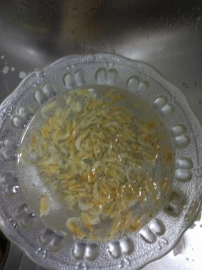 海米适量,用热水浸泡，