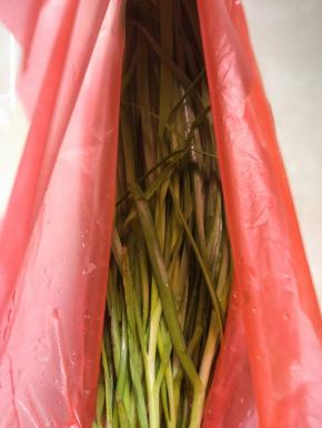 新鲜的韭菜,摘洗干净,控干水分