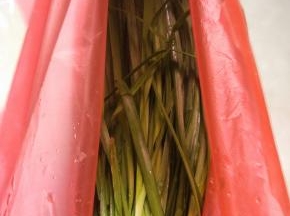 新鲜的韭菜,摘洗干净,控干水分