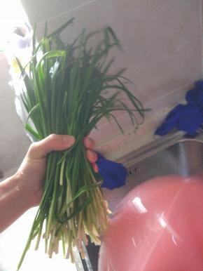 控干水分的韭菜切段