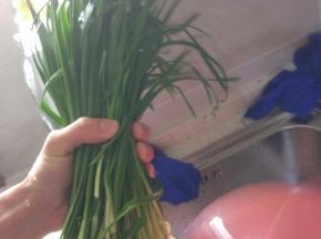 控干水分的韭菜切段