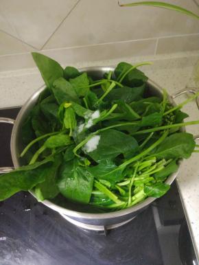 菠菜摘洗干净，锅内开水放入菠菜，适量的盐，两分钟捞出