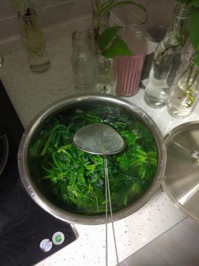 捞出的菠菜过凉水