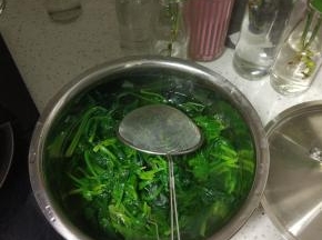 捞出的菠菜过凉水