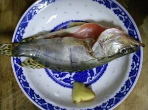 准备好食材，一条桂鱼，一个姜